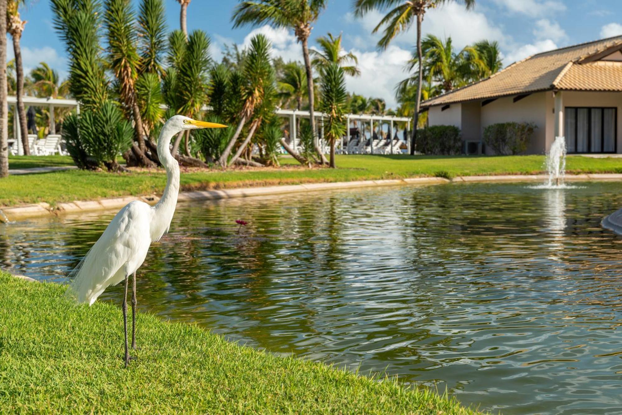 Vila Gale Resort Cumbuco Caucaia Buitenkant foto